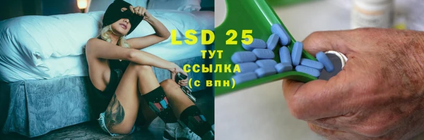 ГАЛЛЮЦИНОГЕННЫЕ ГРИБЫ Алзамай