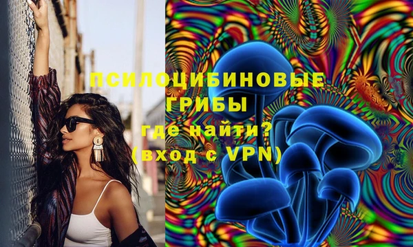 прущие грибы Алексин