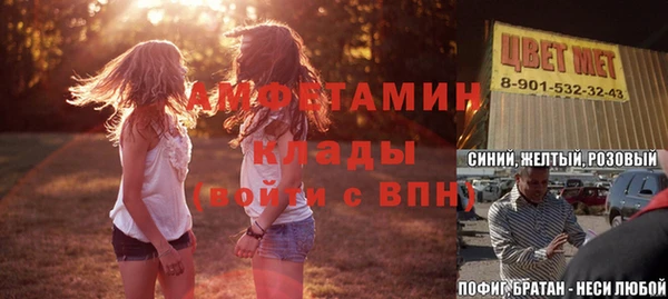 прущие грибы Алексин